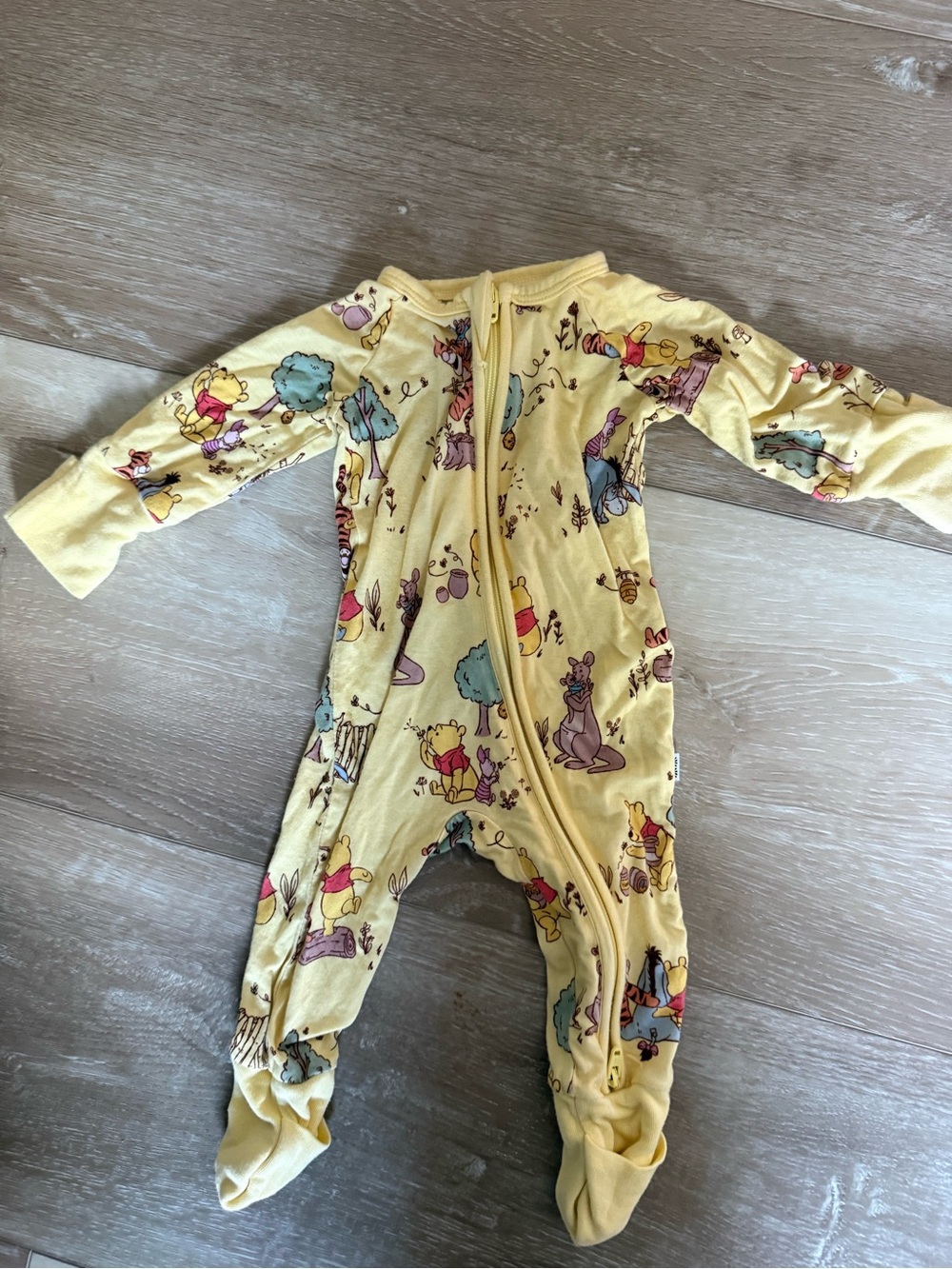 Little Sleepies Winnie the Pooh Newborn Zippie
